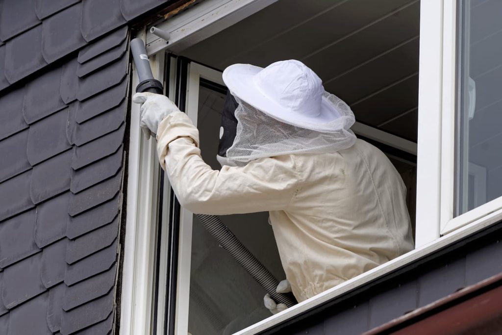 A beekeeper in protective gear cleans a window, ensuring a clear view.